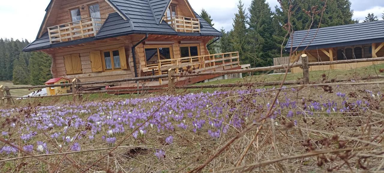 Gosciniec Dziubasowki Villa Nowy Targ Eksteriør bilde